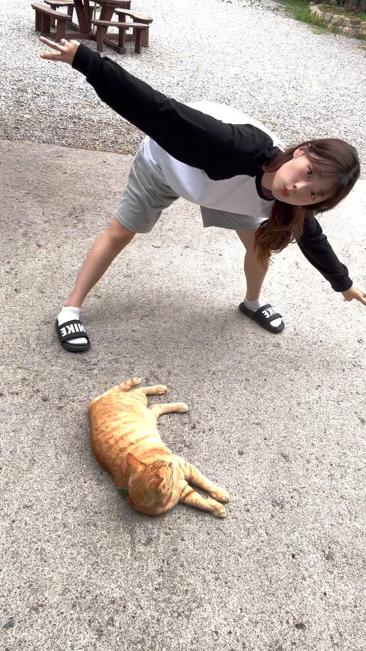 jyuni.__.ya 게시물 이미지: 나.. 막막차.. 하고파..(쭈굴)