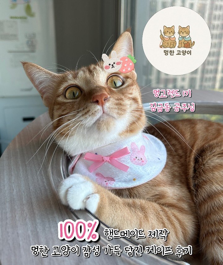Photo shared by 💋💄슈퍼 아이돌 공주님 김금동🎤🐈 on August 04, 2025 tagging @mung_meow_. May be an image of Abyssinian cat, kitten and text that says '멍한고양이 멍한 고양이 명고렌드 가 김금동 공주님 100% 핸드메이드 제작 명한 고양이 감성 가득 담긴 케이프 후기'.
