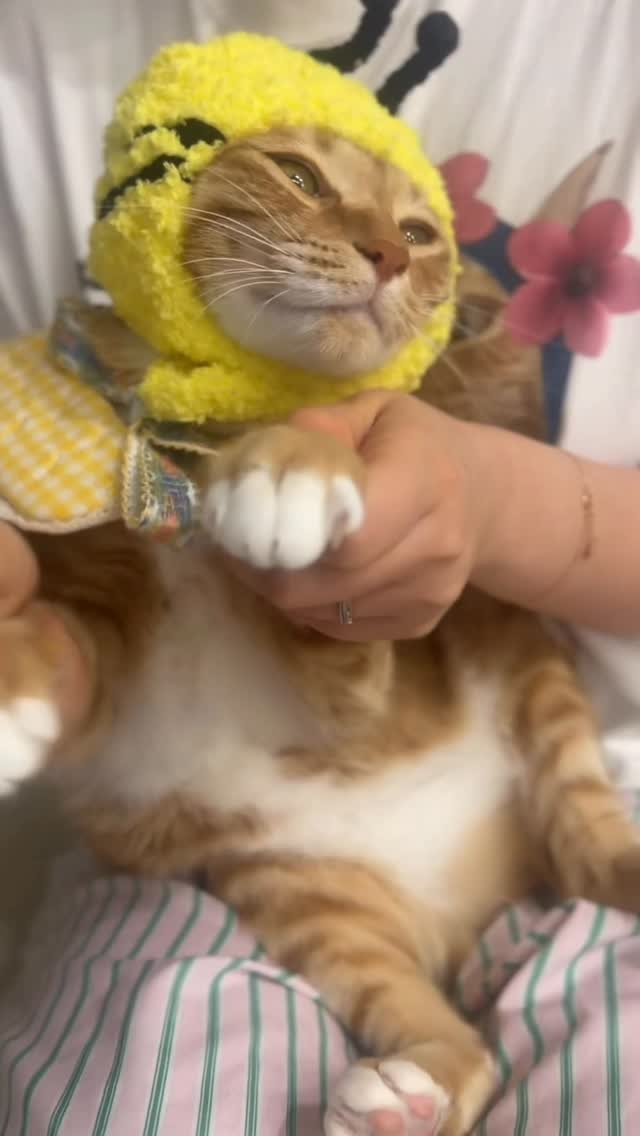 k.geumdong2 게시물 이미지: 워어어엉🐝