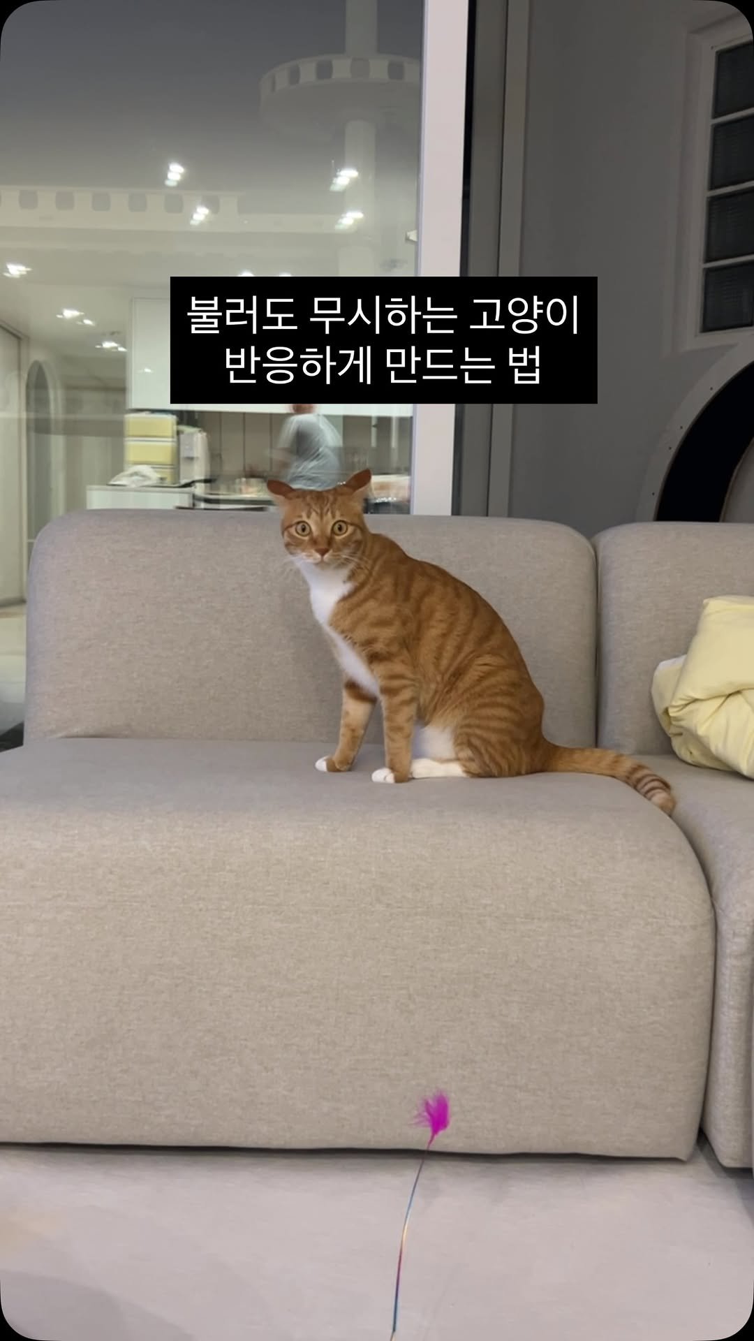 k.geumdong2 게시물 이미지: 한번에 대답해라(?)