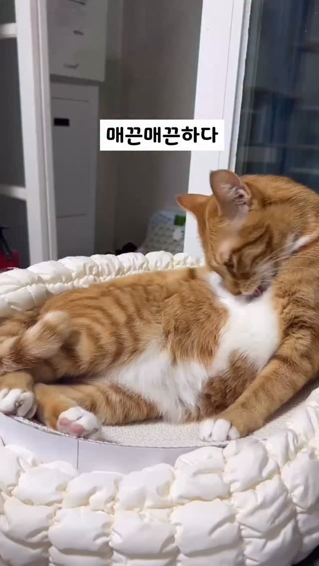 k.geumdong2 게시물 이미지: 진짜 울퉁불퉁해...