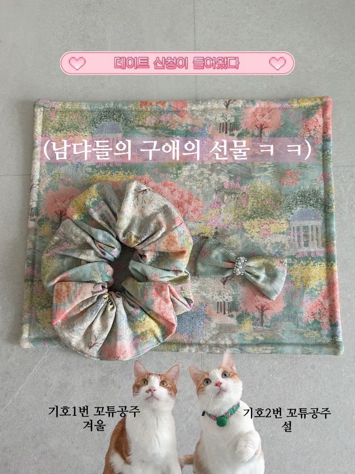 k.geumdong2 게시물 이미지: 🌸 @snowfallin_  설결이네에서 온 이벵트 당첨선물 후기🌸

식기매트도...