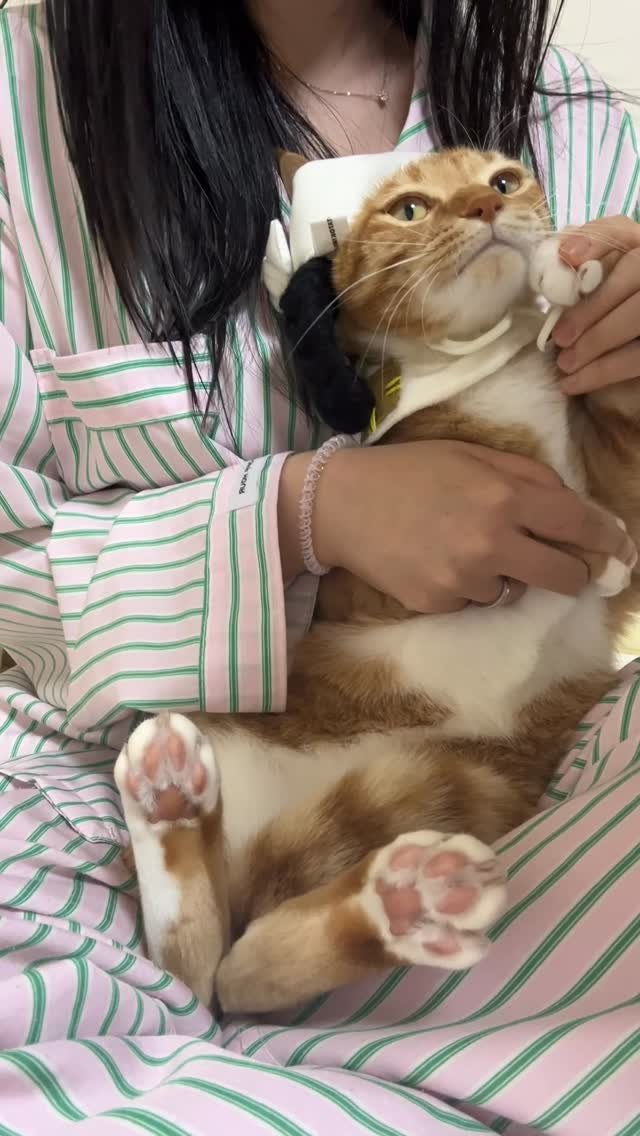 k.geumdong2 게시물 이미지: 한푼만 주세요우으으으으으으음