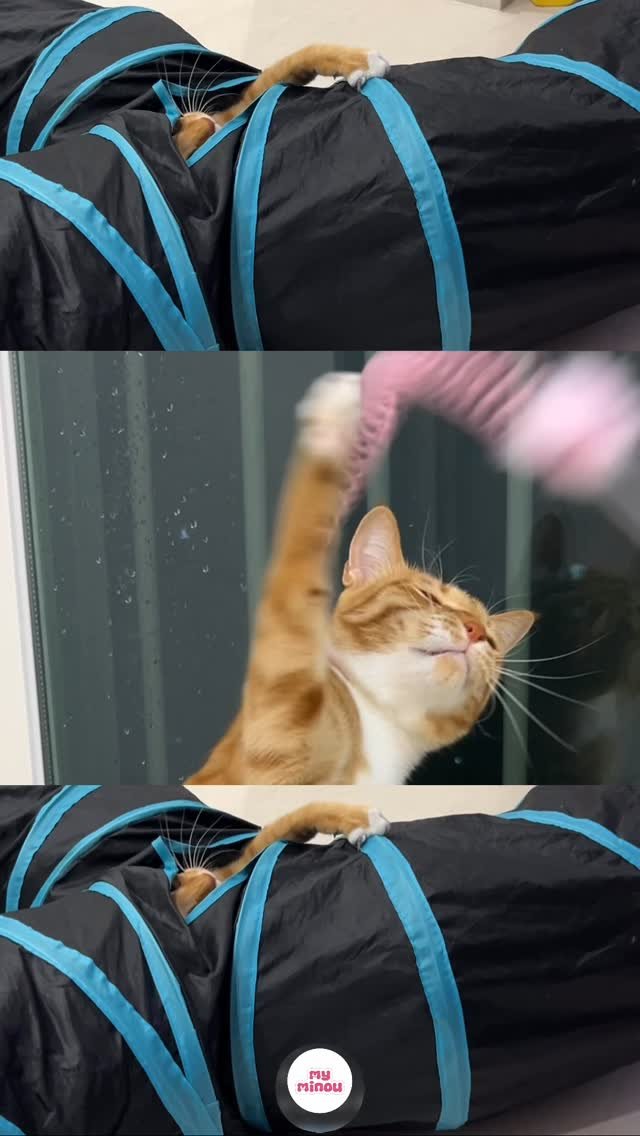 k.geumdong2 게시물 이미지: 간바ㄸ ㅖ !