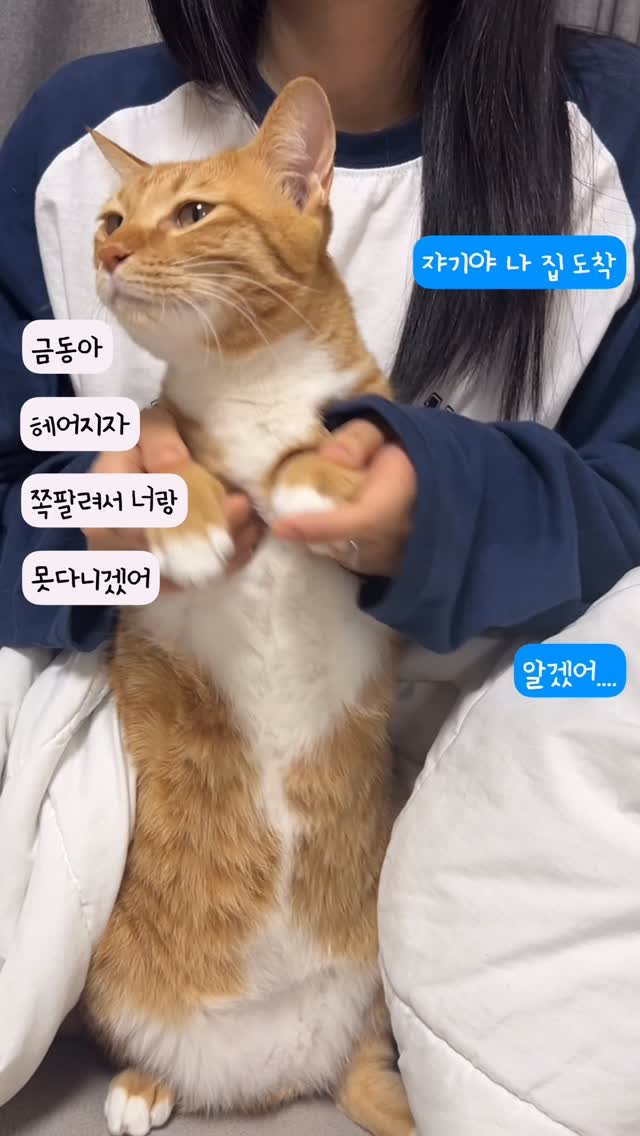 k.geumdong2 게시물 이미지: 오늘 헤어졌다