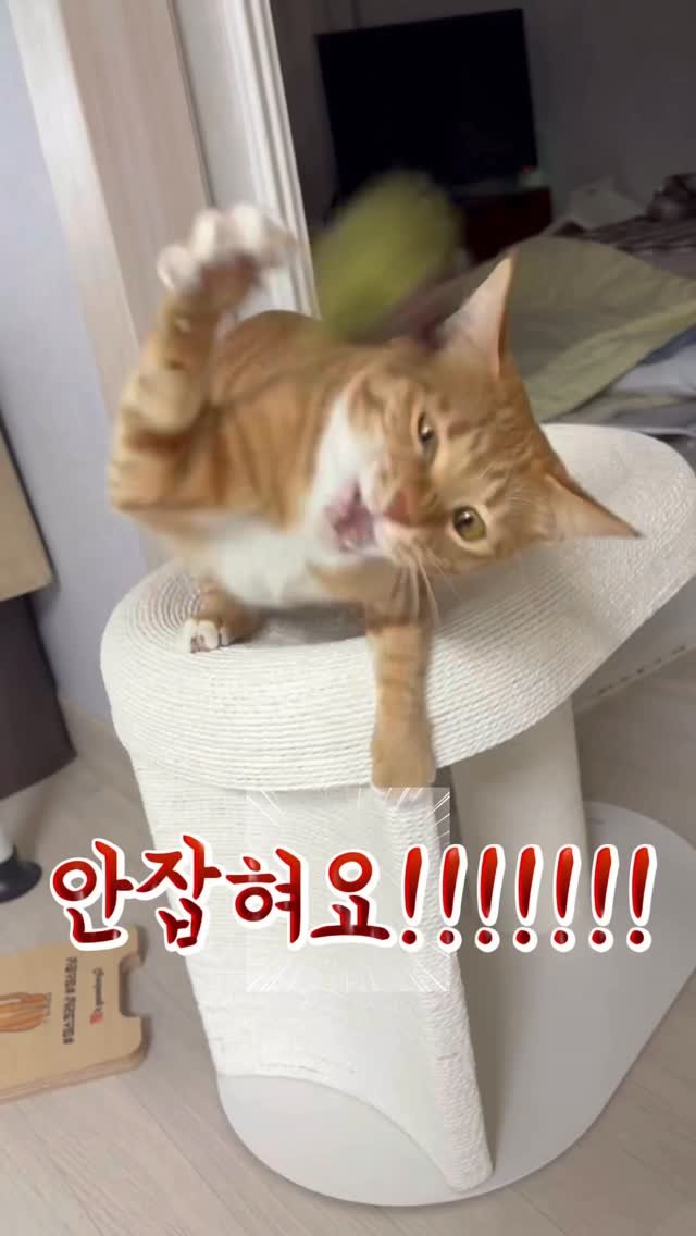 k.geumdong2 게시물 이미지: 터키아이스크림 체험시켜쥬기(?)

🏷️@my_minou_official