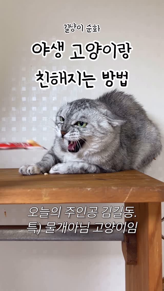 k.geumdong2 게시물 이미지: 바로 보상해주기가 포인트-!
.
.
.
길동이는 점점 착해지고 있어요🤍
길동이...