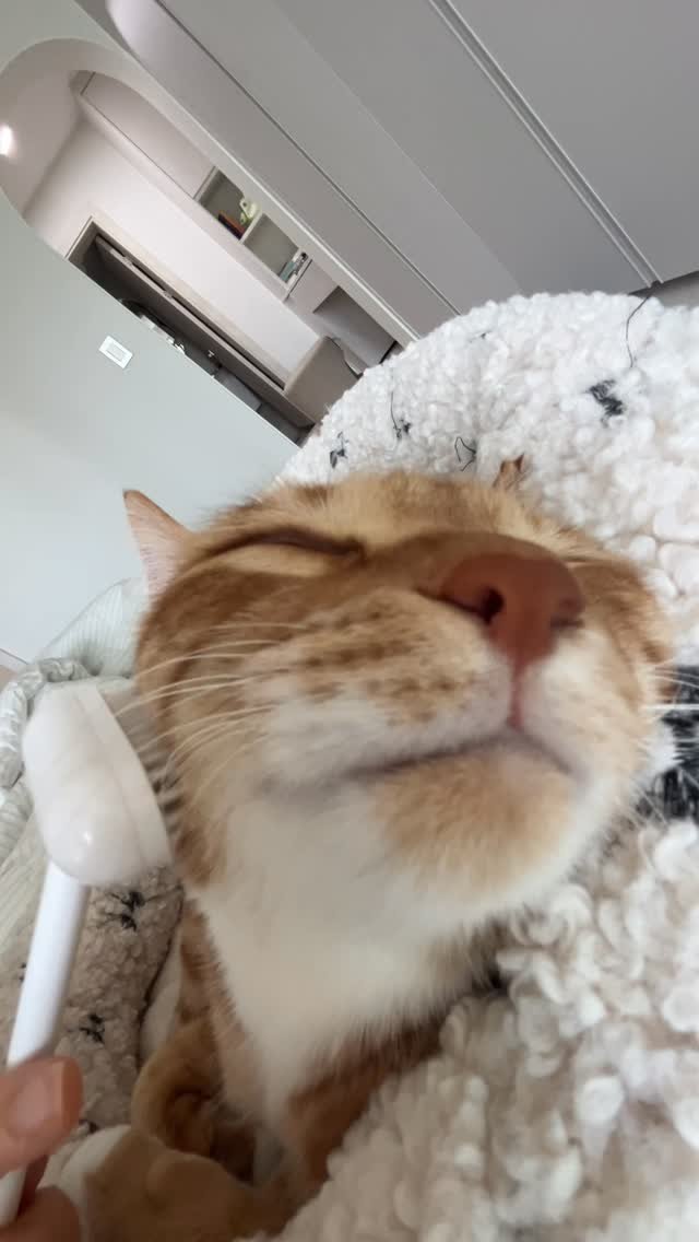 k.geumdong2 게시물 이미지: 