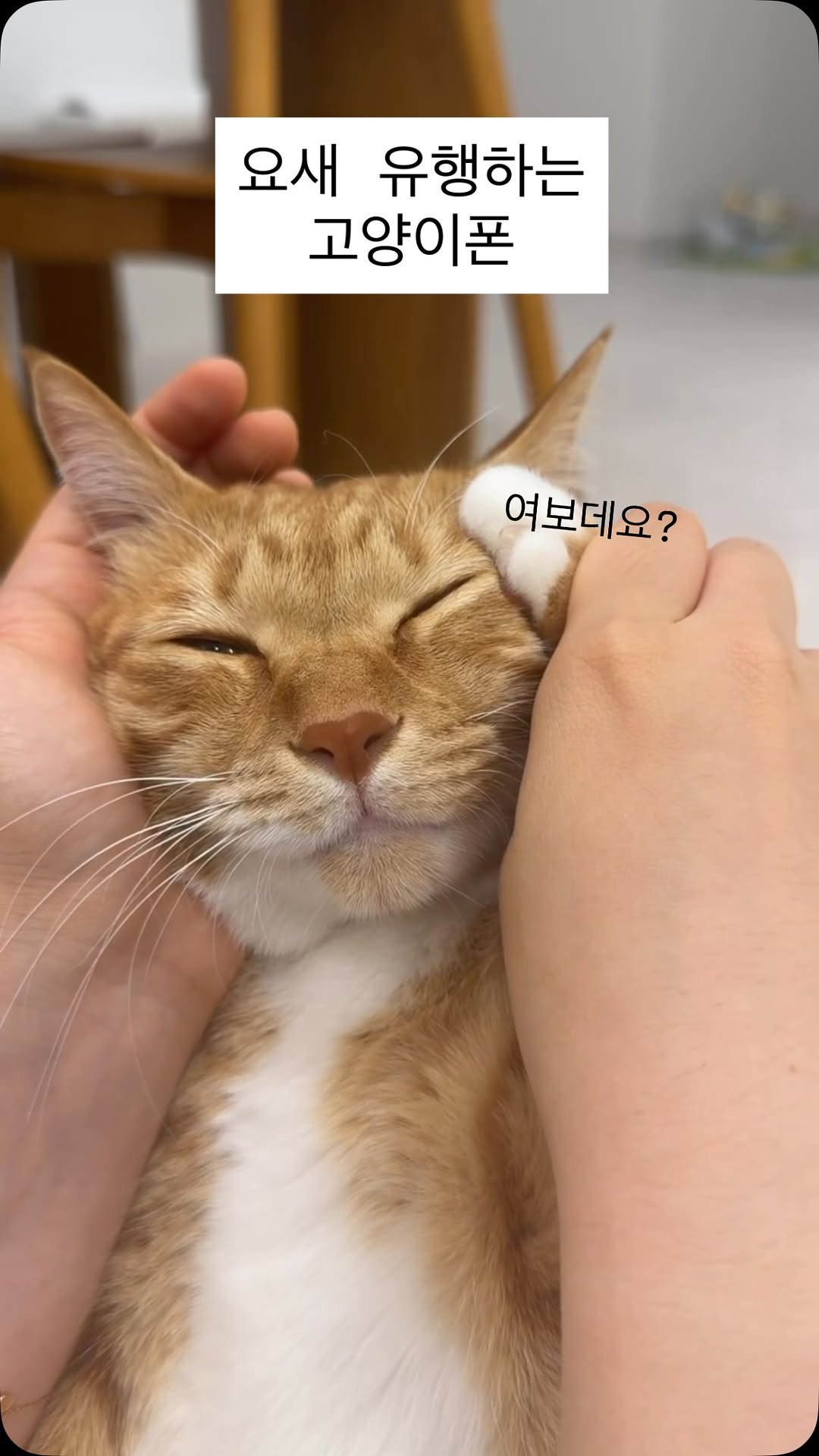 k.geumdong2 게시물 이미지: 누구데요?