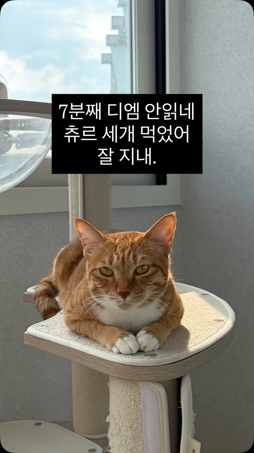 k.geumdong2 게시물 이미지: 잘 지내.