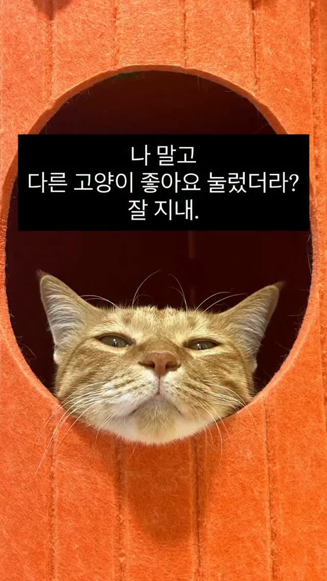 k.geumdong2 게시물 이미지: 지마