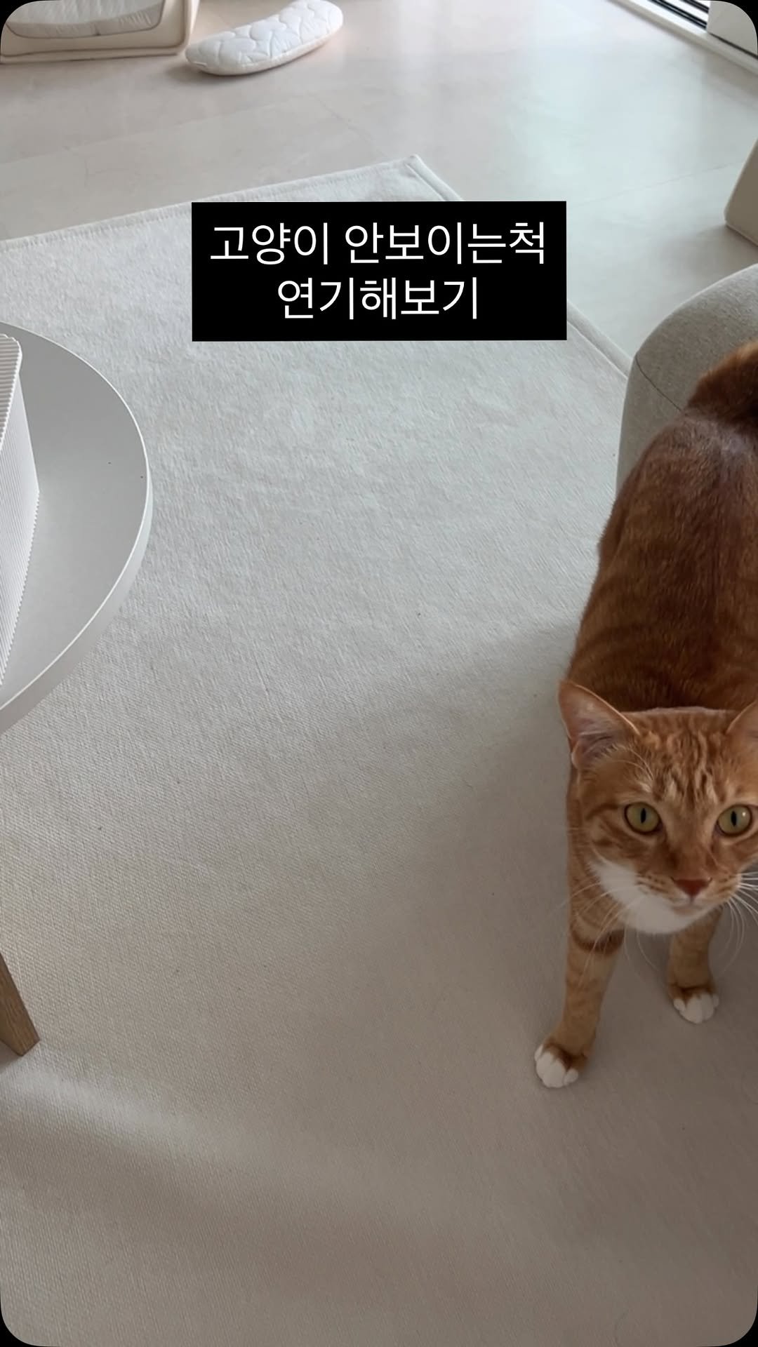 k.geumdong2 게시물 이미지: 시력몇이냐