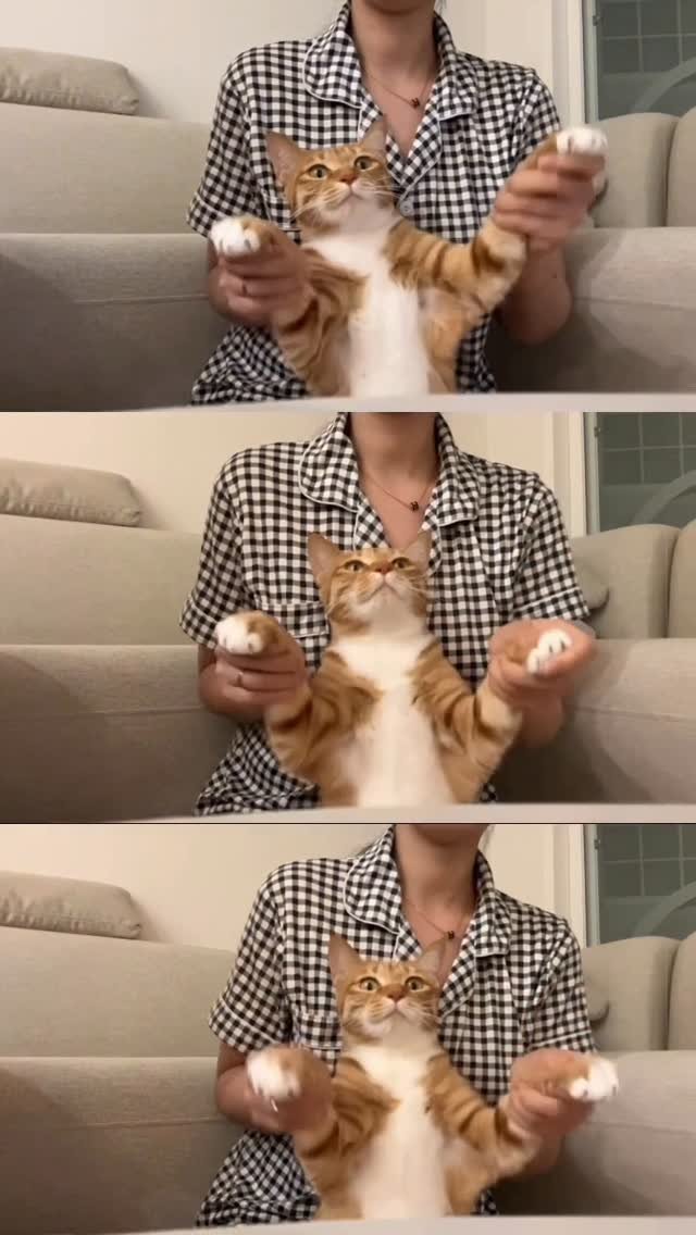 k.geumdong2 게시물 이미지: 월요일 간바레 뚱뚱!