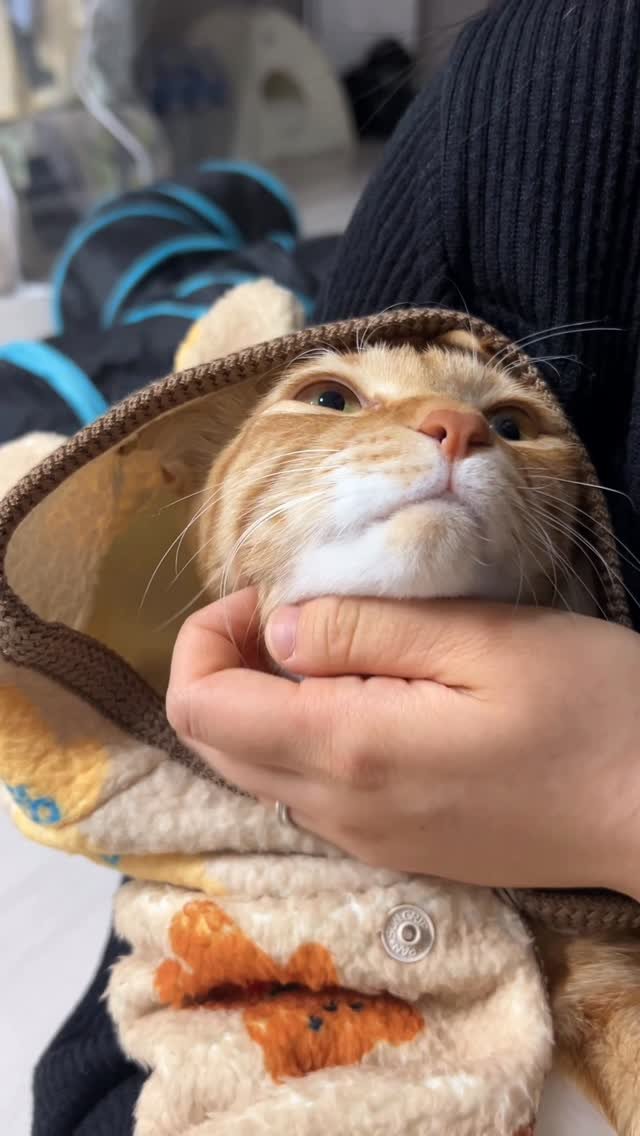 k.geumdong2 게시물 이미지: ‼️⚠️심댱 박살나고 십은사람 시청하새요.💘