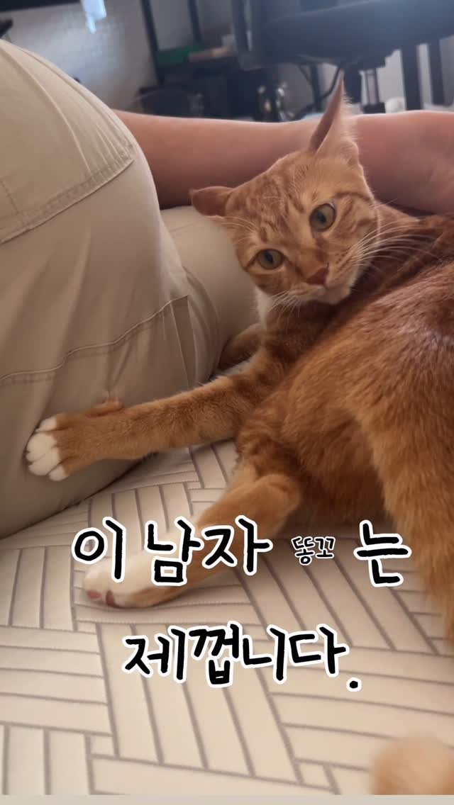 k.geumdong2 게시물 이미지: 똥꼬지킴이