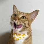 k.geumdong2 인스타그램 프로필 사진