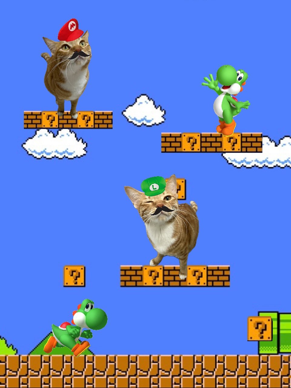 Photo by 💋💄슈퍼 아이돌 공주님 김금동🎤🐈 on November 06, 2025. May be an image of owl, video games and text.