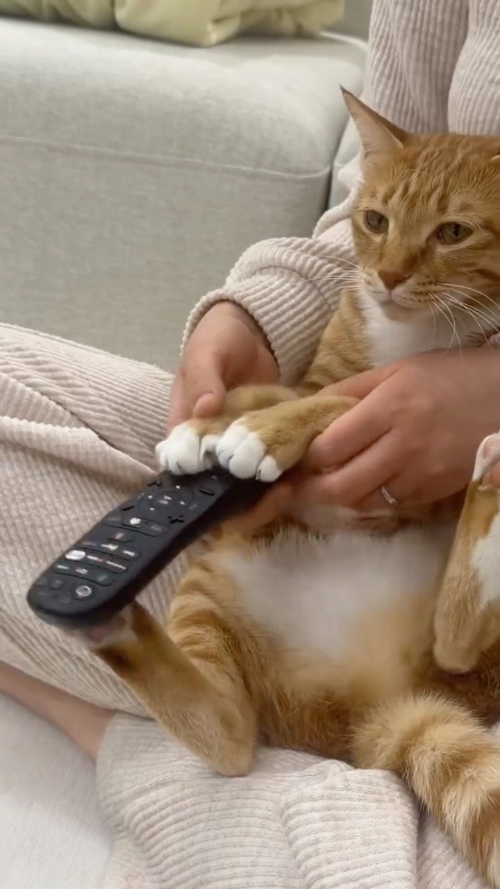 k.geumdong2 게시물 이미지: 듐쌰까라까 애비 티비 그만 보ㅑ