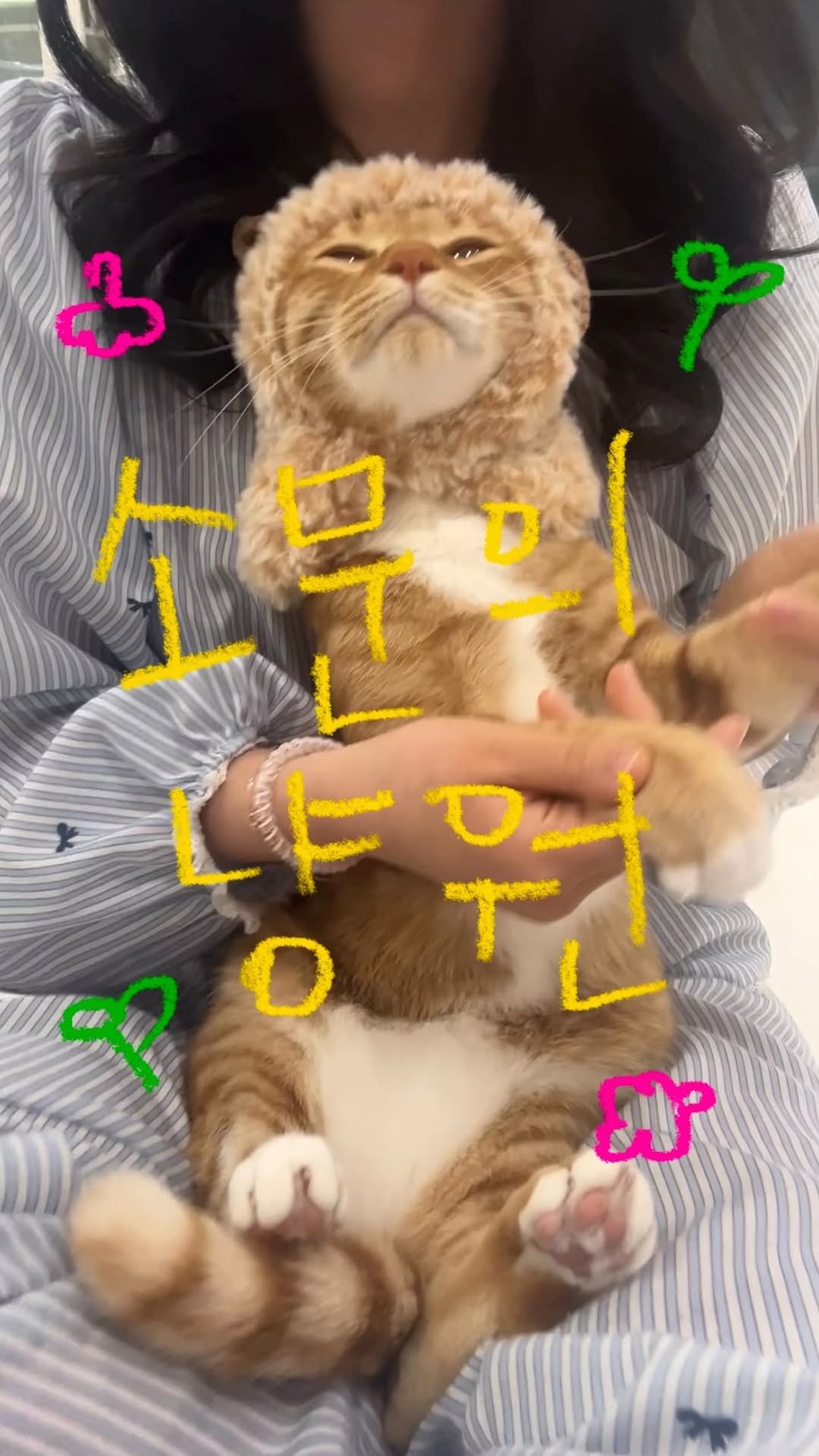 k.geumdong2 게시물 이미지: 지치고 병든 냐옹이여...