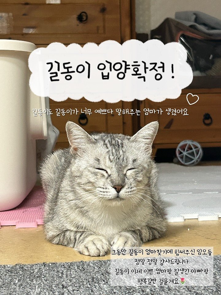 Photo by 💋💄슈퍼 아이돌 공주님 김금동🎤🐈 on July 27, 2025.