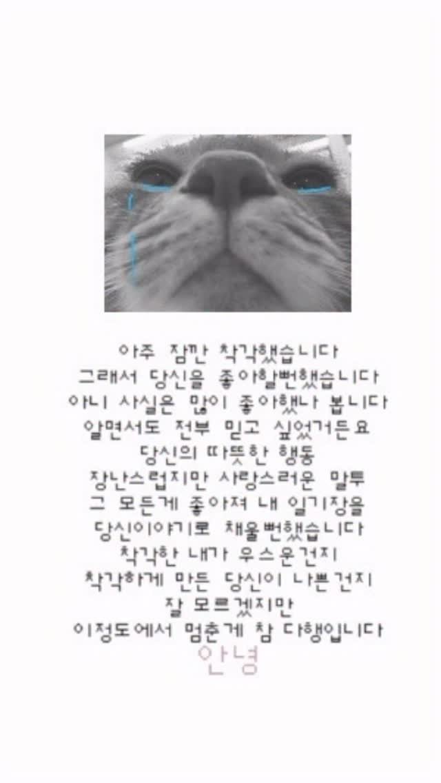 k.geumdong2 게시물 이미지: 집사 센치함