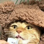 k.geumdong2 인스타그램 프로필 사진