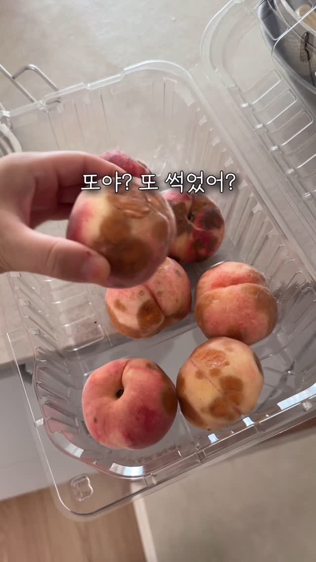 k_dorimm 게시물 이미지: #공구예고 #음식물처리기

음식물처리기 고민 백만번
이사올 때 바로 놓고...