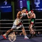 realkoreandude 프로필 사진