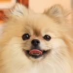 k_yanggaeng 인스타그램 프로필 사진