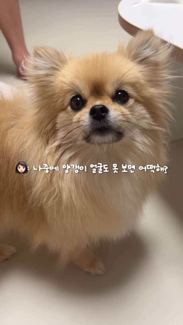 k_yanggaeng 게시물 이미지: 눈 나쁜 엄마를 위해 양갱이 준비한 것은..?! #광고
요즘 엄마 눈이 너무 안...