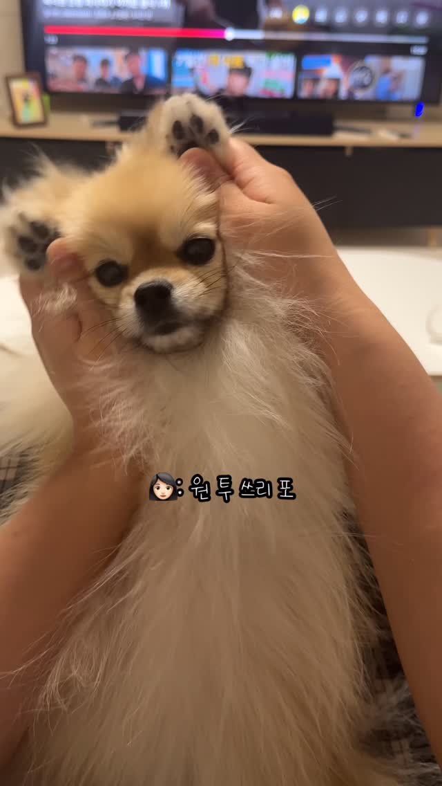 k_yanggaeng 게시물 이미지: 레전드 귀여움 뽕실배 훌라댄스 갱이씨