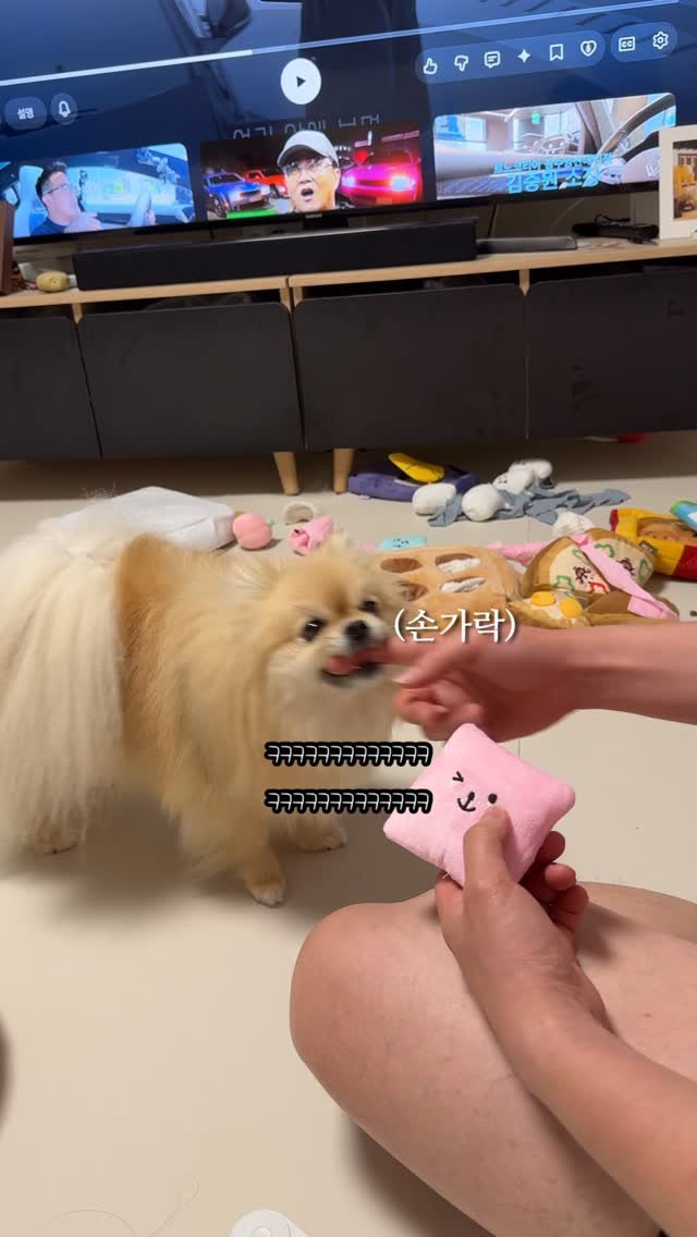k_yanggaeng 게시물 이미지: 놀자고? 물자고?