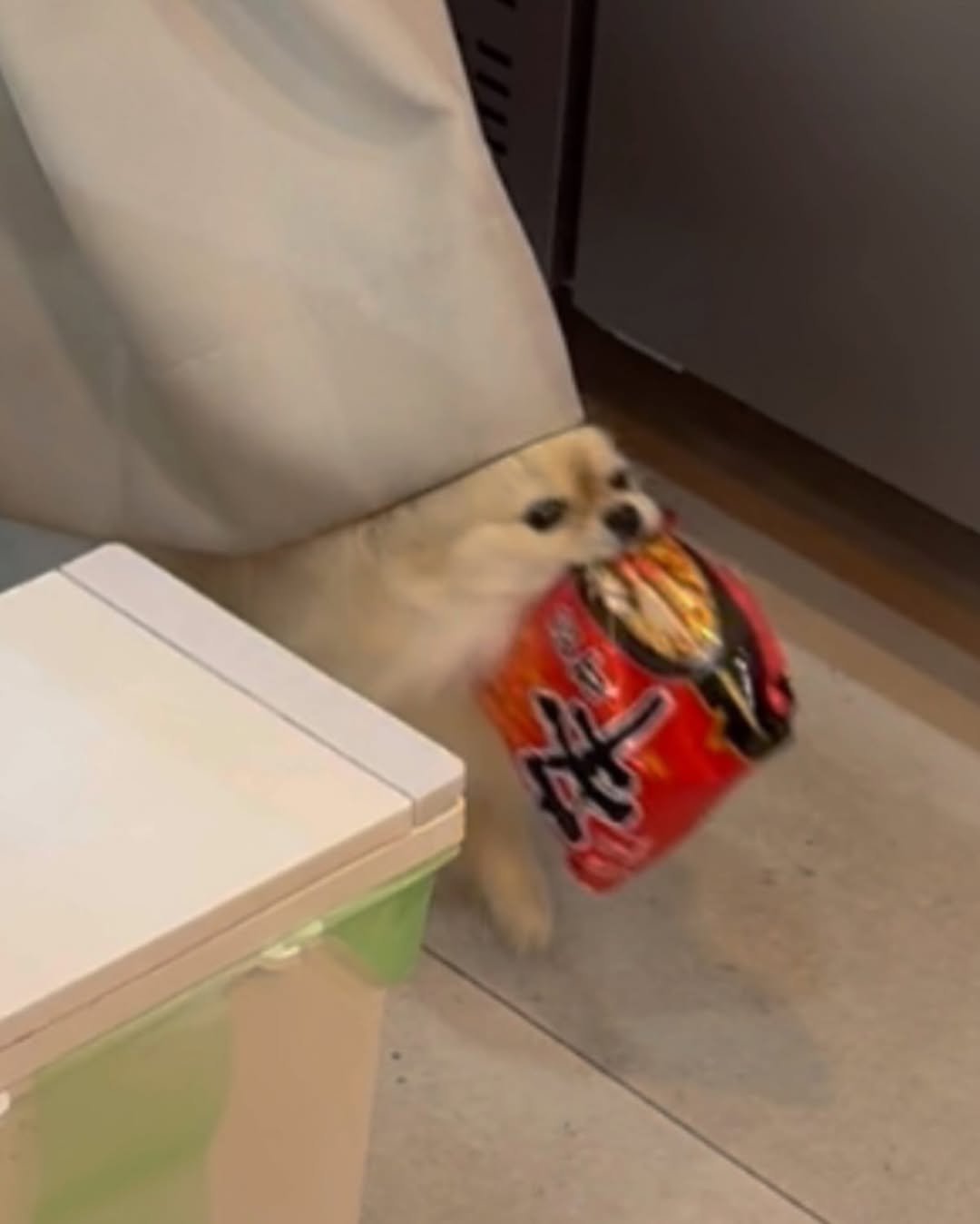 Photo by 김양갱은 못말려 on January 06, 2025.