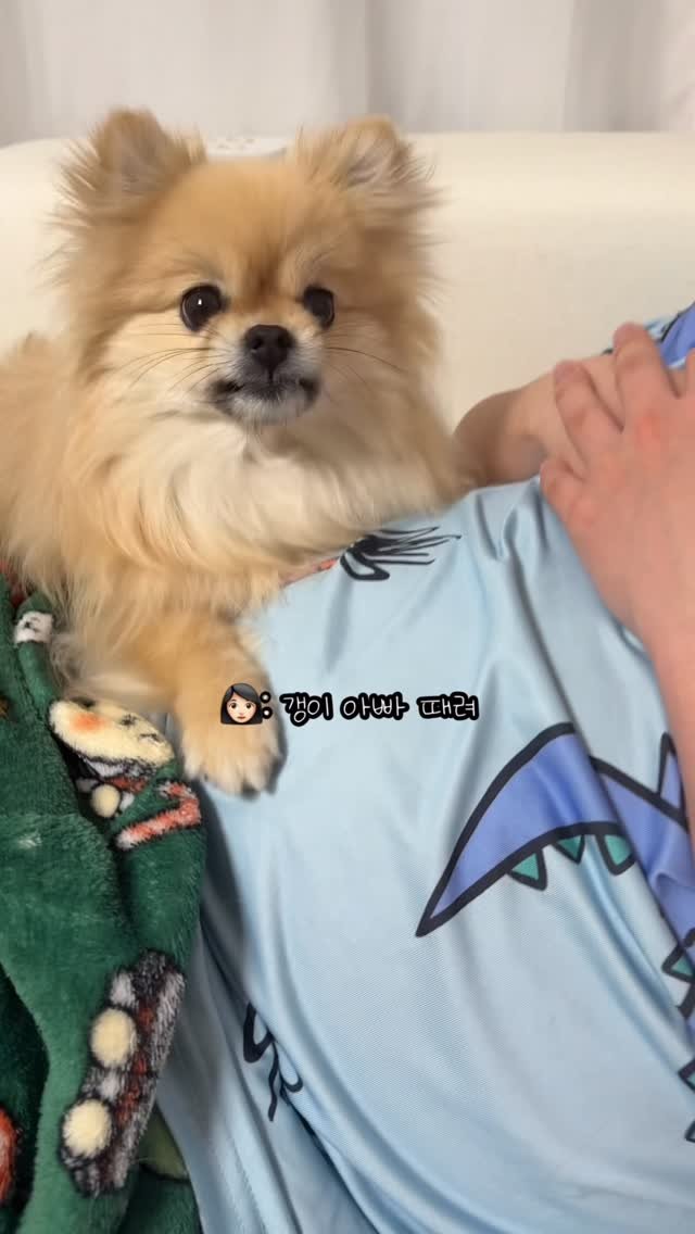 k_yanggaeng 게시물 이미지: 아빠 물어에 이은 아빠 때려 개인기