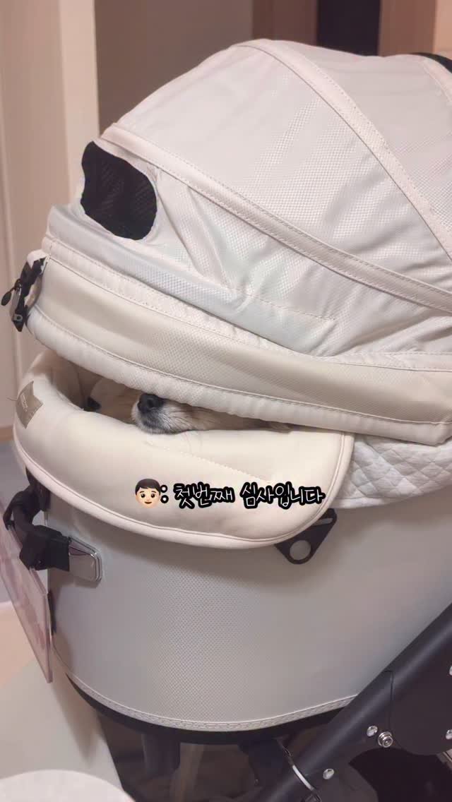 k_yanggaeng 게시물 이미지: 흑갱요리사