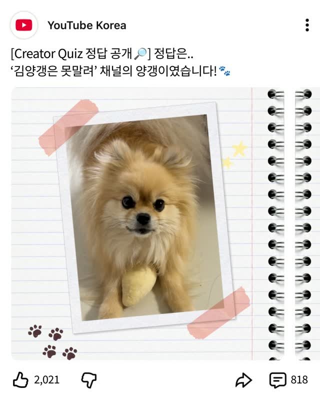 k_yanggaeng 게시물 이미지: Creator Quiz 정답 공개🔎
정답은 ‘김양갱은 못말려’ 채널의...