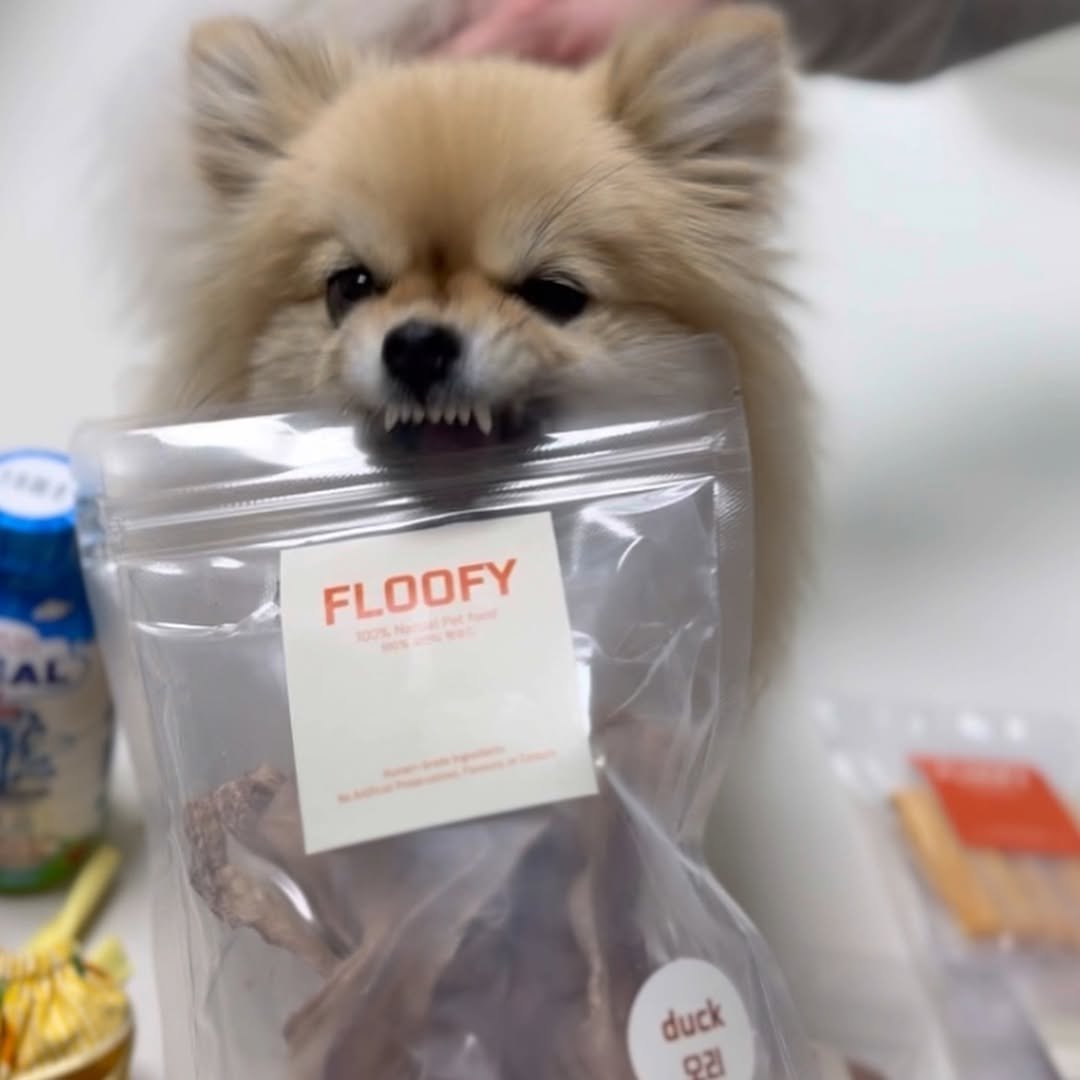 Photo by 김양갱은 못말려 on April 23, 2026. May be an image of petfood and text.