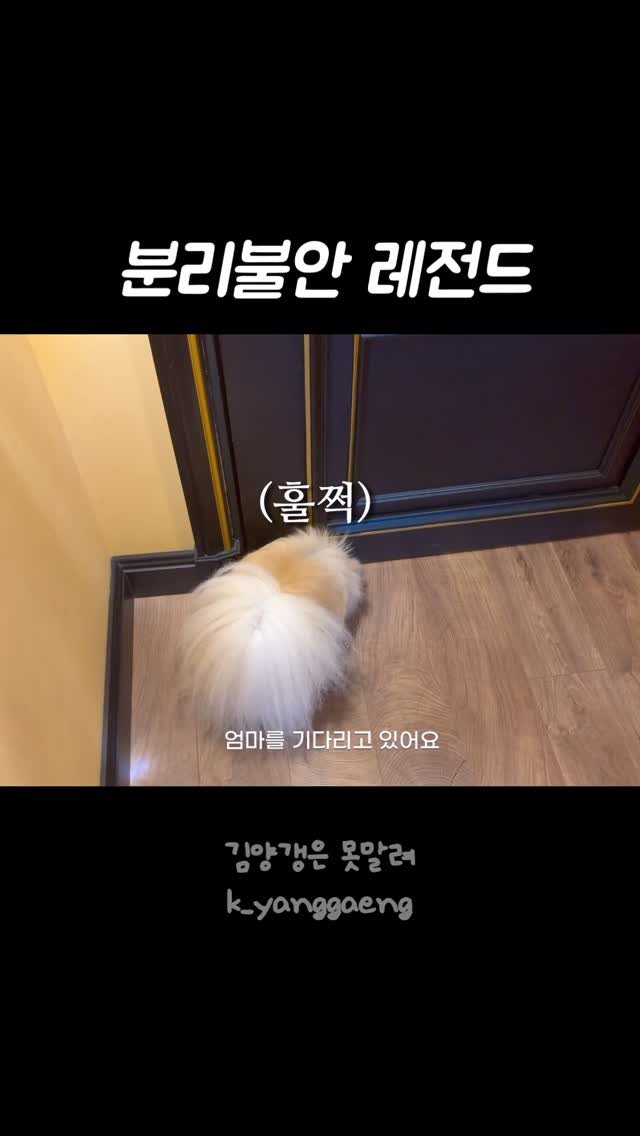 k_yanggaeng 게시물 이미지: @yysbeast 🤍 갱이씨 때문에 망한 아빠의 호캉스