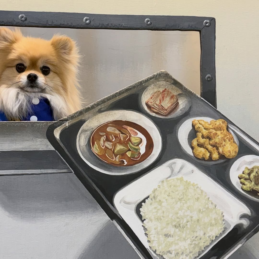 Photo by 김양갱은 못말려 on April 19, 2026. May be an image of petfood and text.