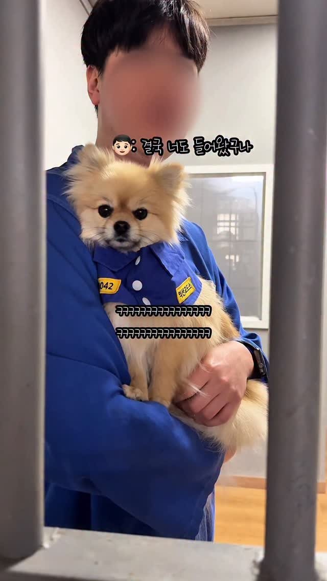 k_yanggaeng 게시물 이미지: 아빠 넣더니 결국 본인도 감옥 간 갱이씨