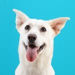 princessboksoon 프로필 사진