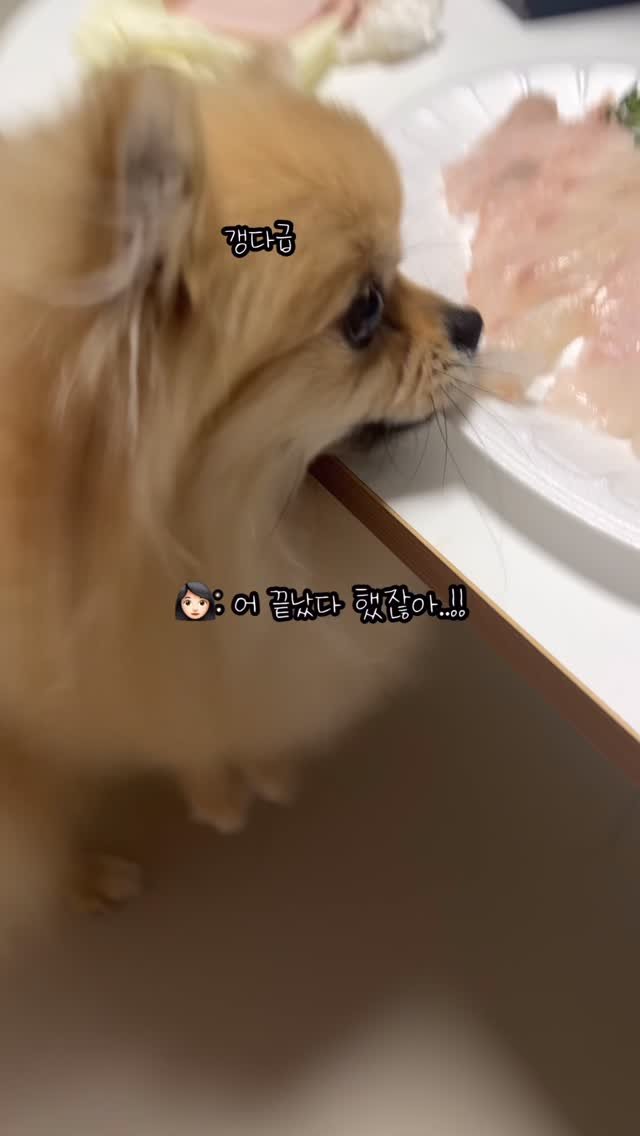 k_yanggaeng 게시물 이미지: 광어 회가 너무 먹고 싶었던 갱이씨ㅋㅋㅋ