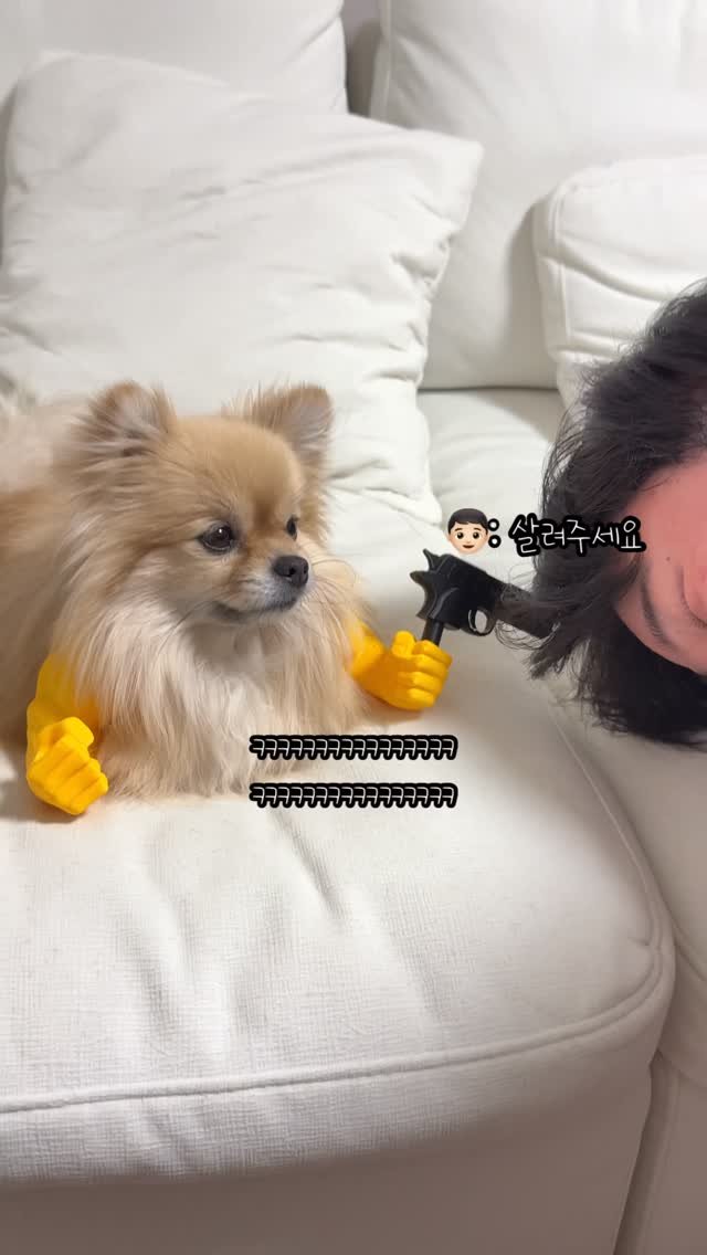 k_yanggaeng 게시물 이미지: 5단 변신 어벤져스 갱이씨