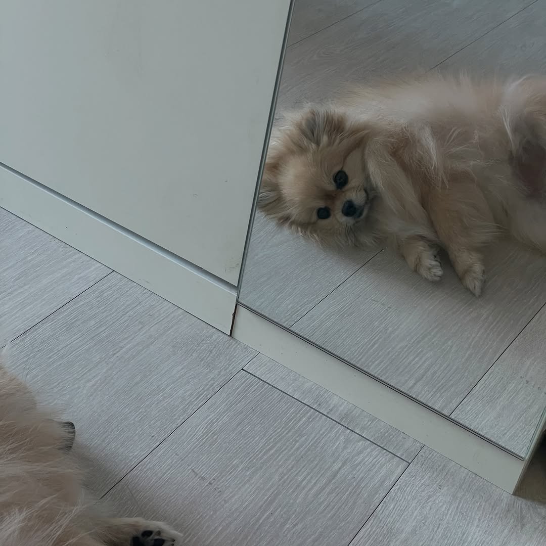 k_yanggaeng 게시물 이미지: 너무 귀여운 내가 좋아🤍