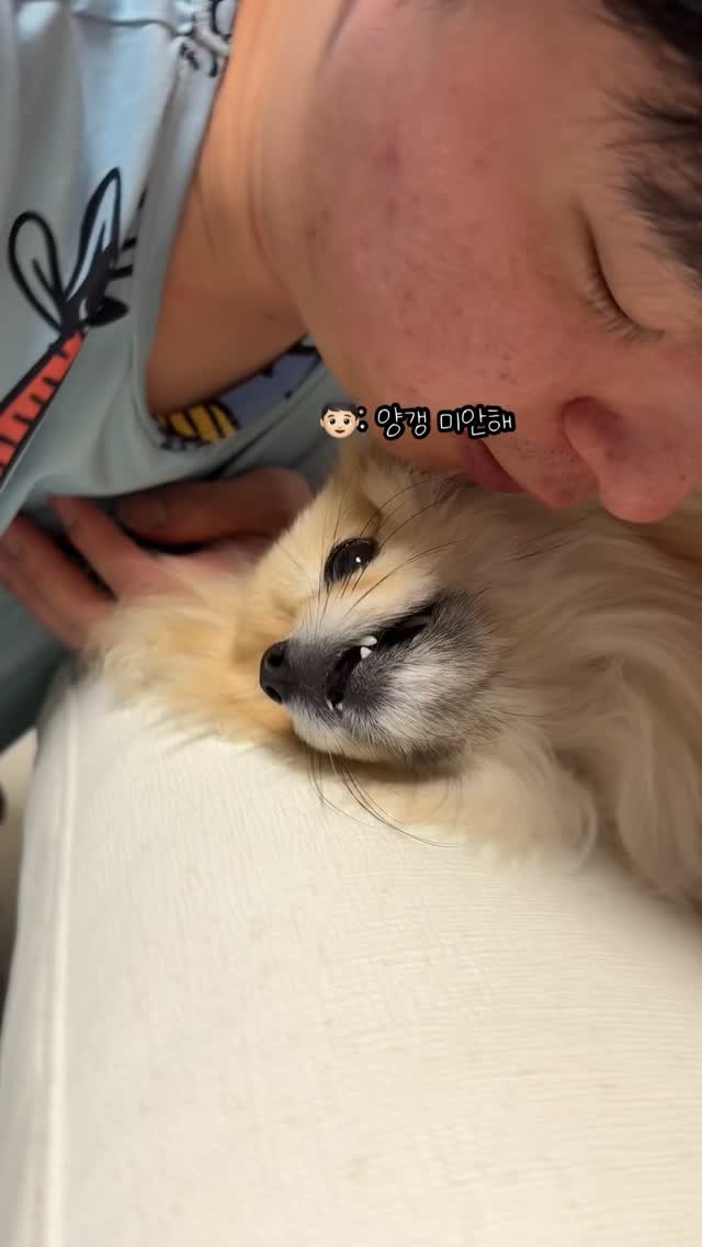 k_yanggaeng 게시물 이미지: 미안해 안미안해 구분하는 갱이씨