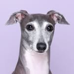 king_yul2 프로필 사진