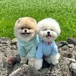 koong_poo 프로필 사진