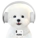 huru_bichon 프로필 사진