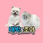 jackpot.min 프로필 사진