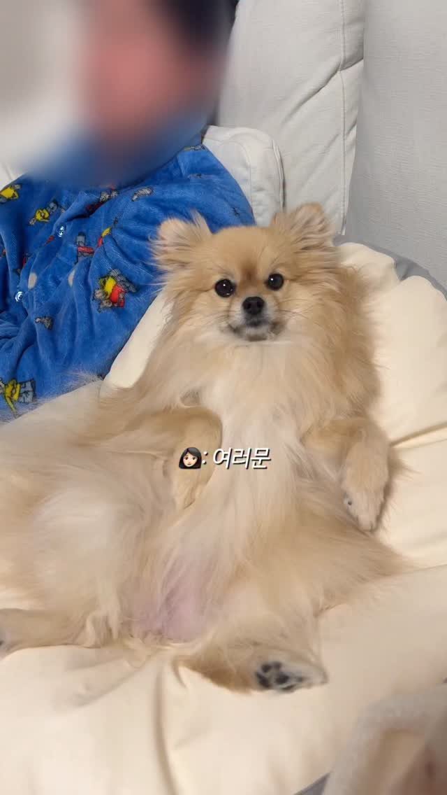 k_yanggaeng 게시물 이미지: 4년 만에 배 나온 갱이씨